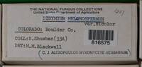 Image Associated With the Occurence